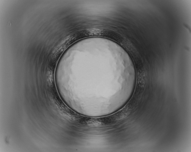 X0000103440648200809261755