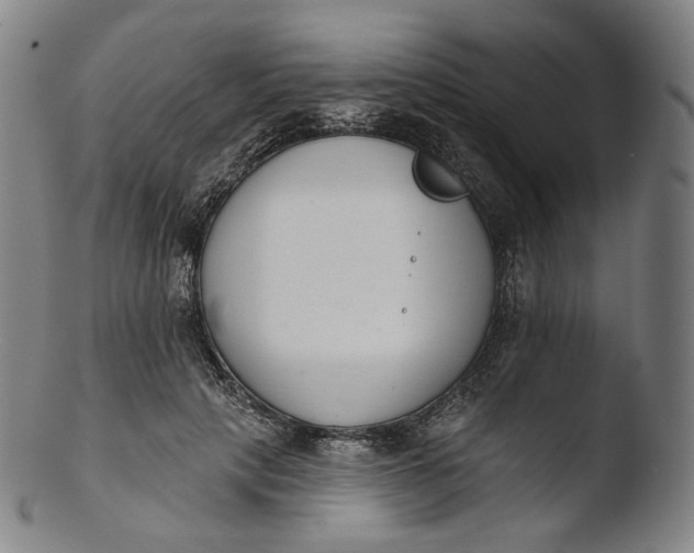 X0000103440649200809261755
