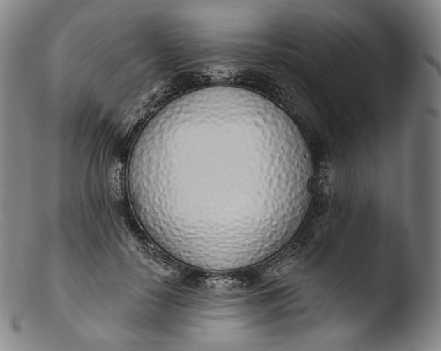 X0000103440650200809261755