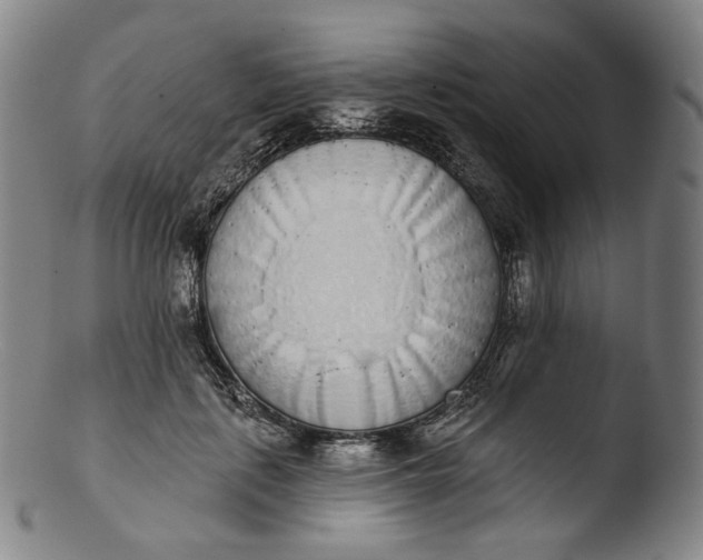 X0000103440651200809261755