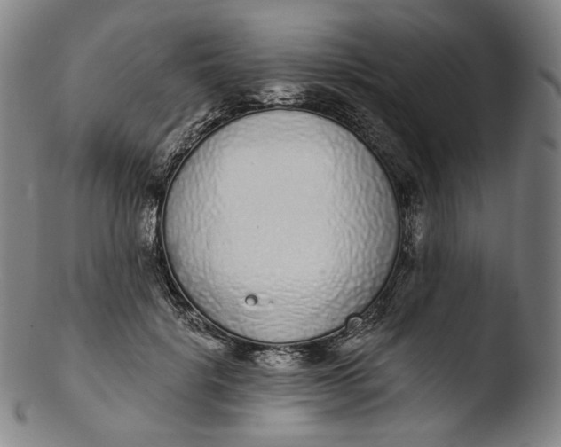 X0000103440652200809261755