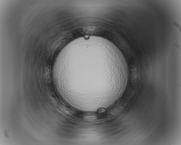 X0000103440653200809261755
