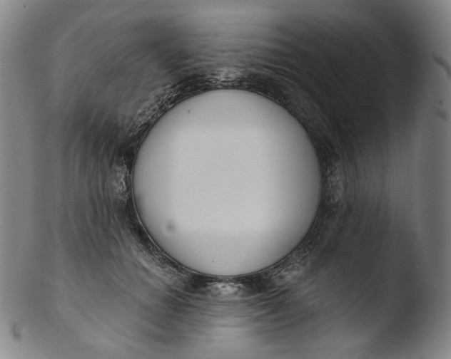 X0000103440654200809261755