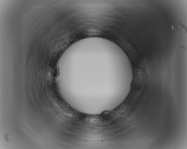X0000103440655200809261755