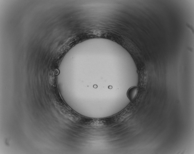 X0000103440656200809261755
