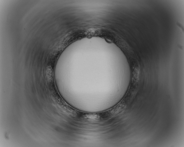 X0000103440659200809261755