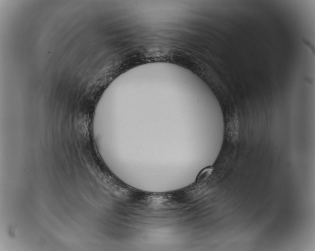 X0000103440662200809261755