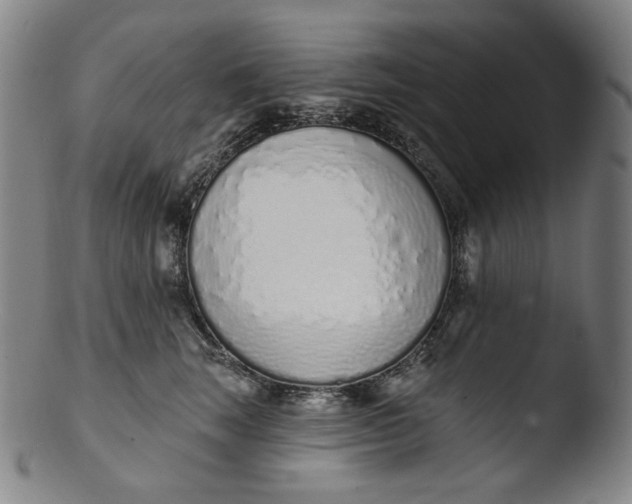 X0000103440663200809261755