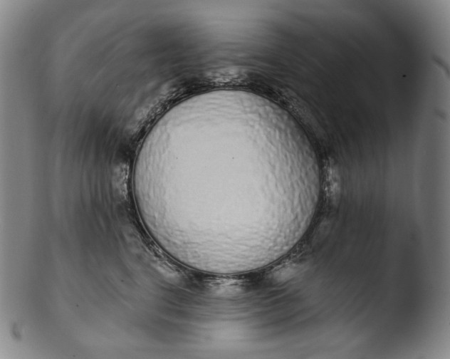 X0000103440664200809261755