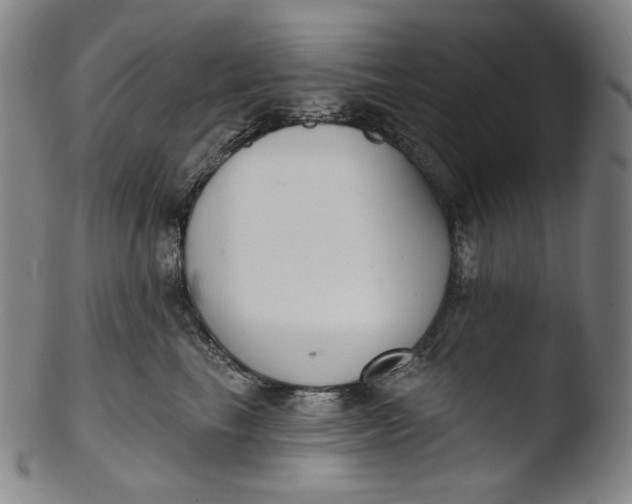 X0000103440665200809261755