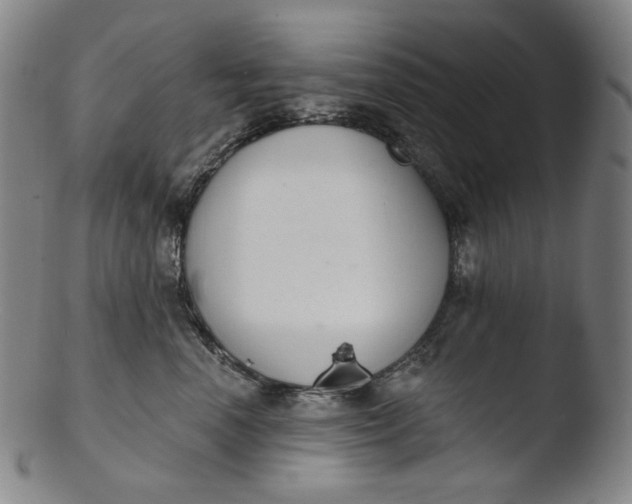 X0000103440666200809261755