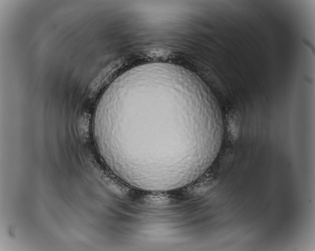 X0000103440668200809261755