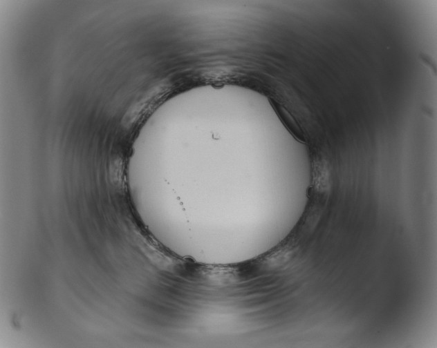 X0000103440670200809261755
