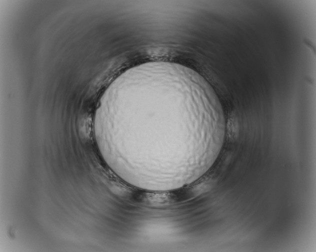 X0000103440671200809261755