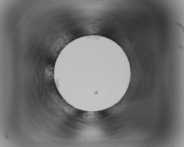 X0000103440672200809261755