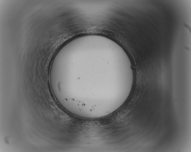 X0000103440673200809261754