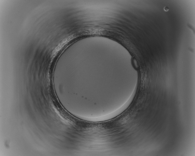 X0000103440674200809261754