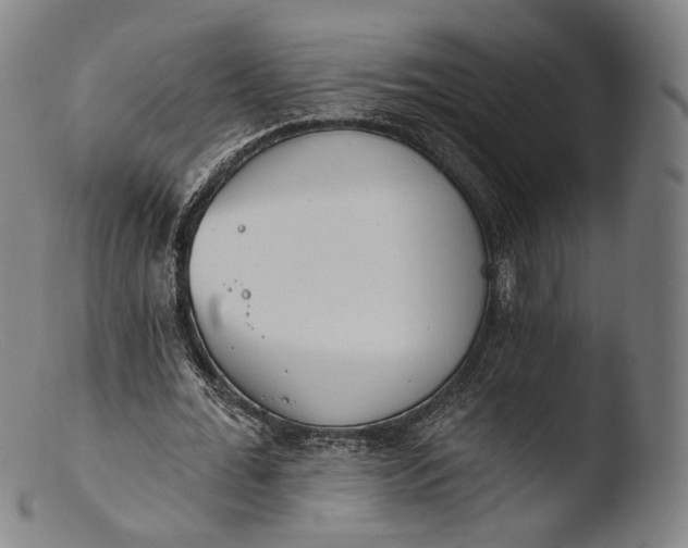 X0000103440676200809261754