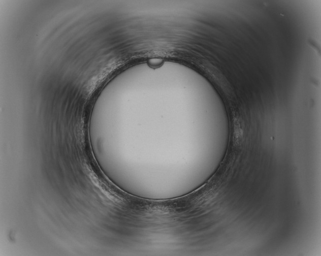 X0000103440677200809261754