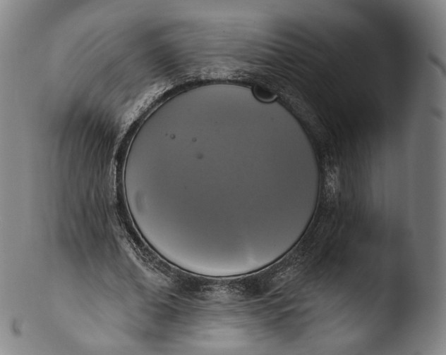 X0000103440678200809261754