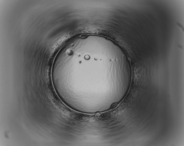 X0000103440679200809261754