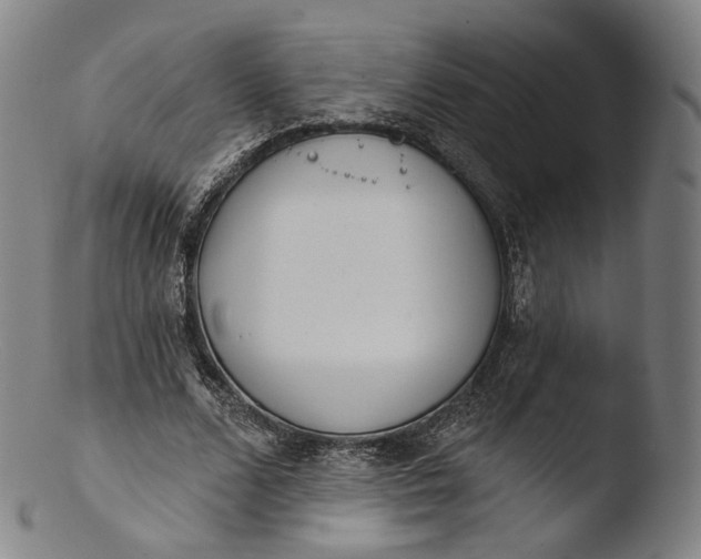 X0000103440680200809261754