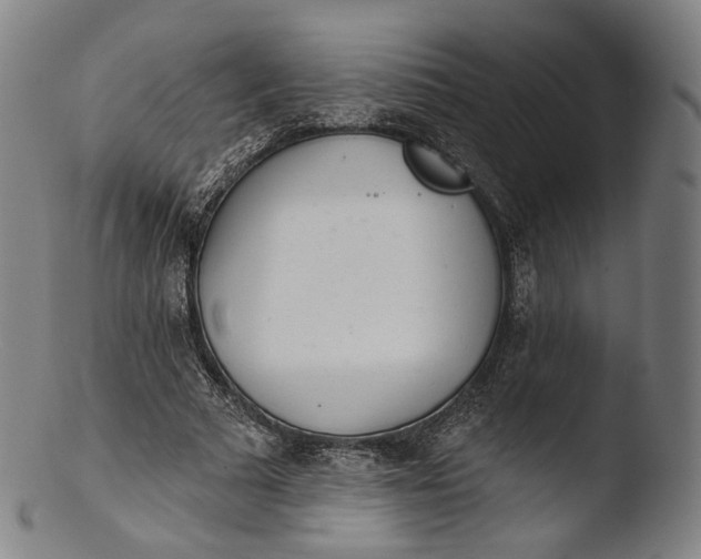 X0000103440681200809261754