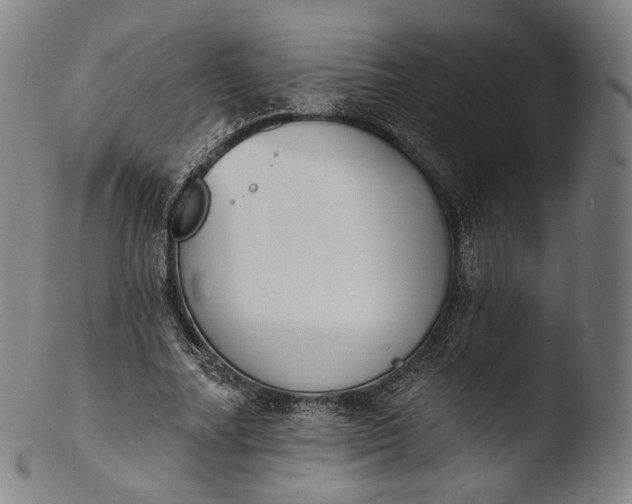 X0000103440682200809261754