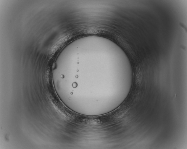 X0000103440683200809261754