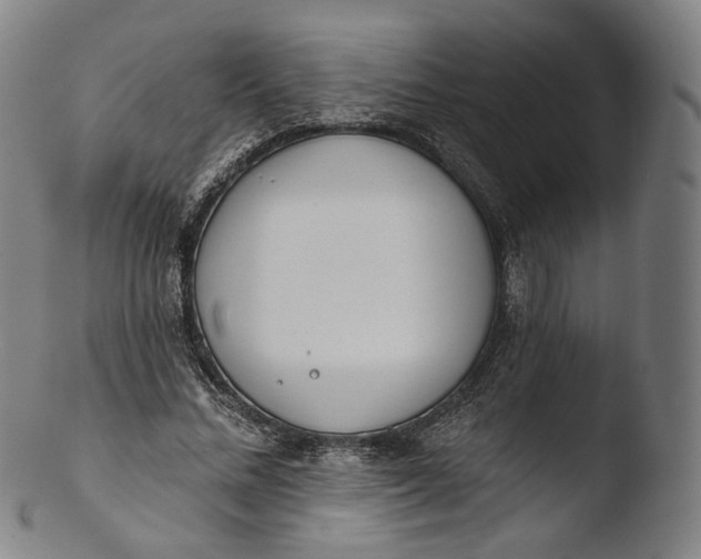 X0000103440684200809261754