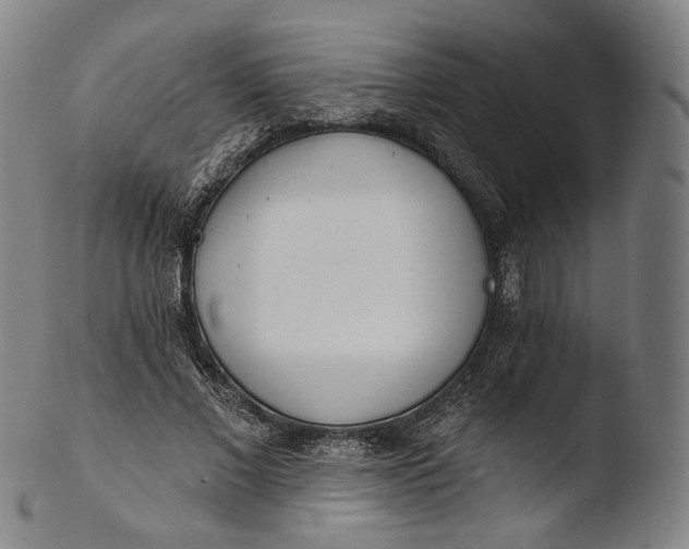 X0000103440685200809261754