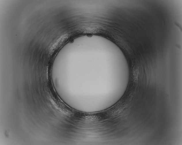 X0000103440686200809261754