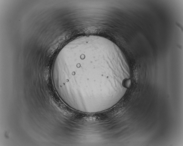 X0000103440687200809261754