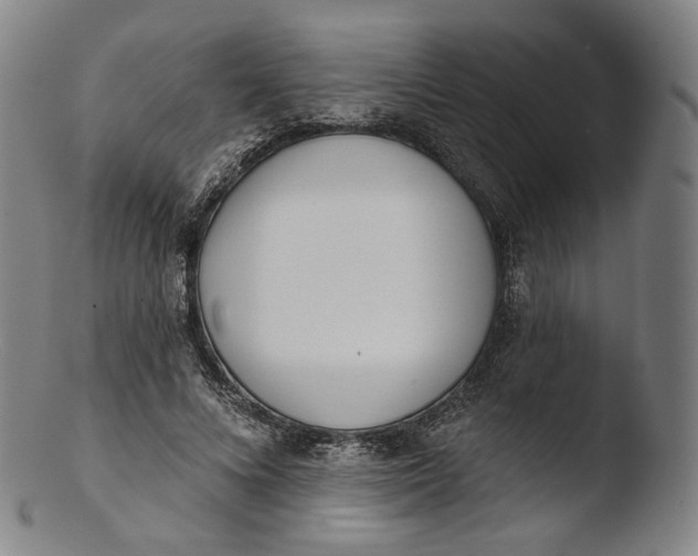 X0000103440688200809261754