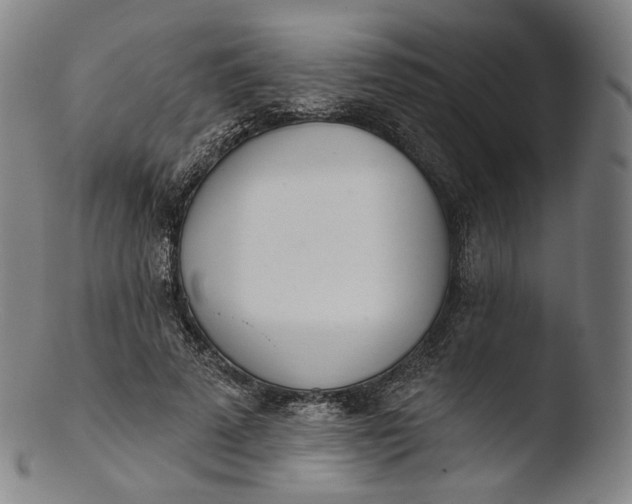 X0000103440689200809261754