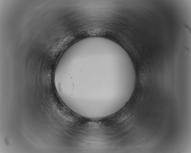 X0000103440690200809261754