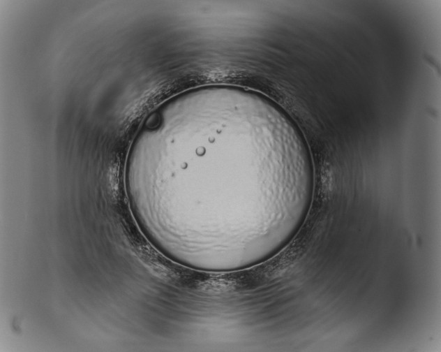 X0000103440691200809261754