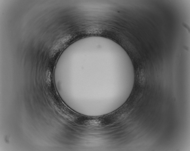X0000103440692200809261754