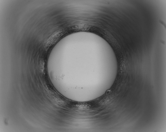 X0000103440693200809261754