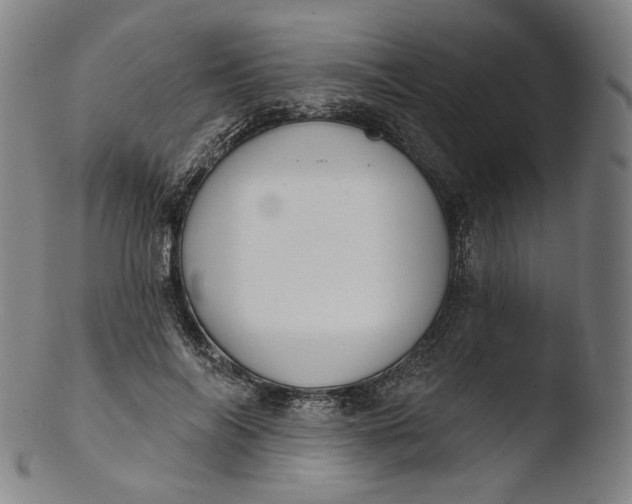 X0000103440694200809261754