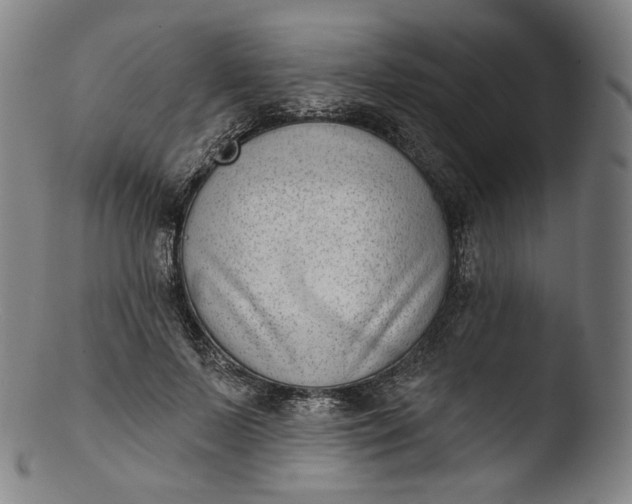 X0000103440695200809261754