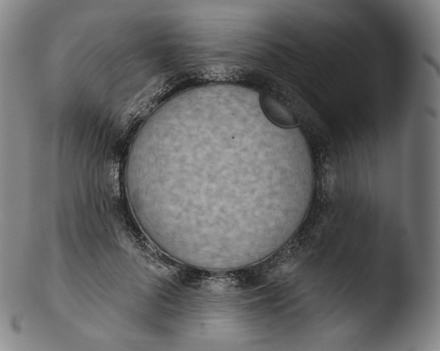 X0000103440696200809261754