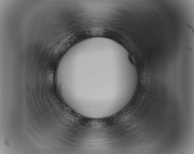 X0000103440697200809261754