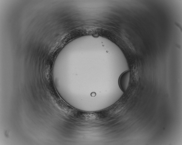 X0000103440698200809261754