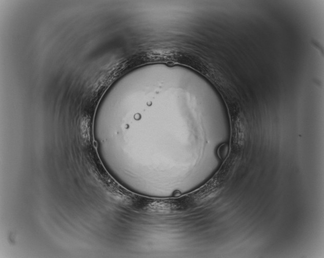 X0000103440699200809261754