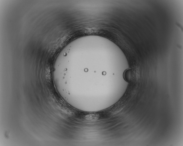 X0000103440700200809261754