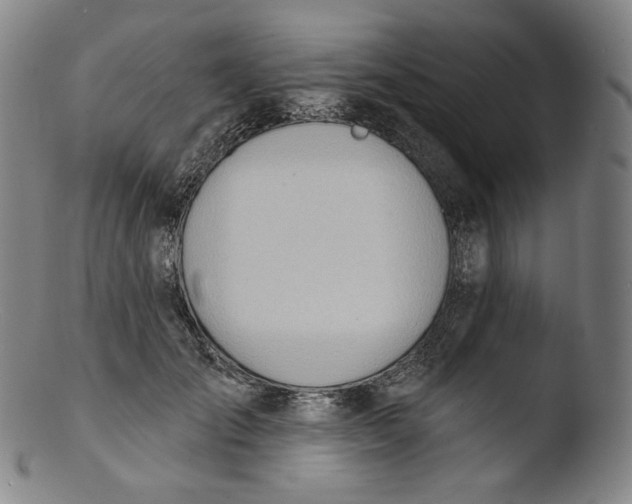X0000103440701200809261754