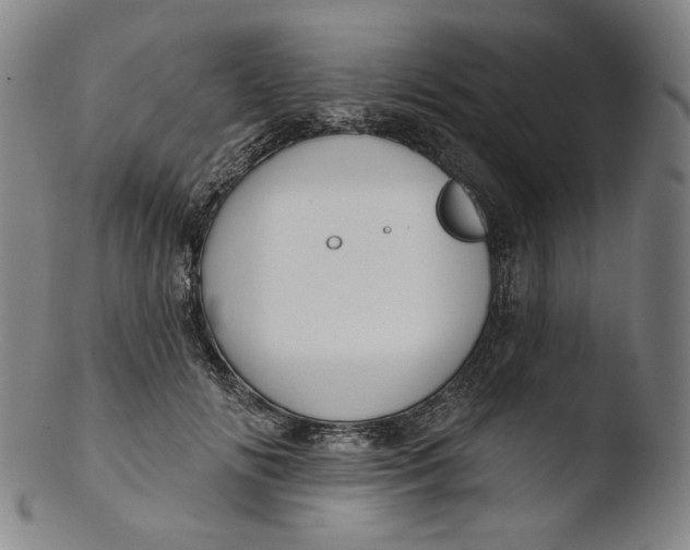 X0000103440702200809261754