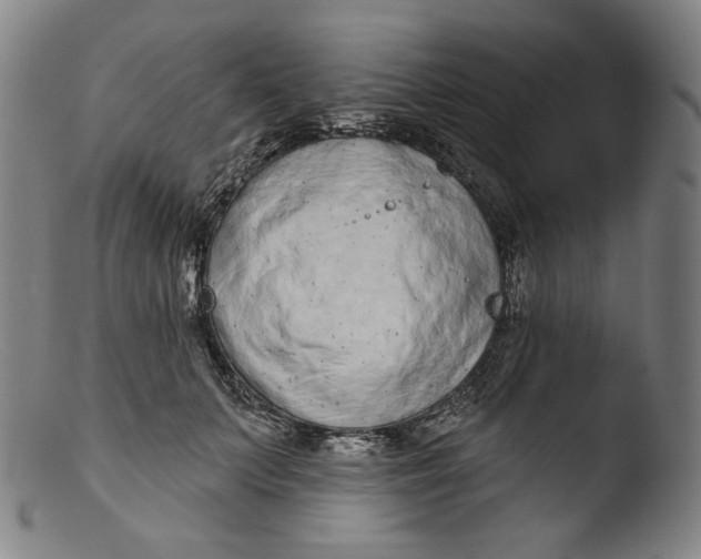X0000103440703200809261754