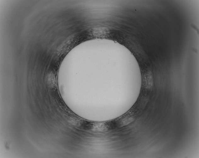 X0000103440705200809261754